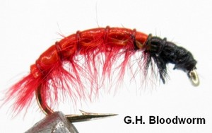 G.H. Bloodworm